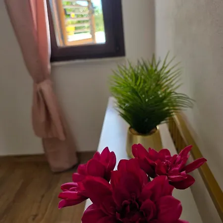 Villa Le Terrazze Montelepre